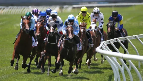 betting on horse racing